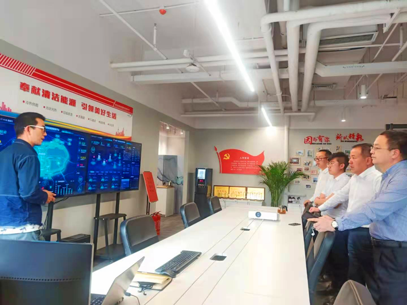 新型能源公司黨史學(xué)習(xí)教育巡回指導(dǎo)四組到西安新能科技公司開展督導(dǎo)檢查2.png