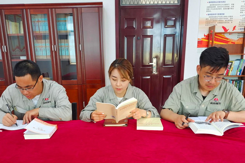 寧夏鑫爾特公司黨支部開展黨史學(xué)習(xí)研討會1.png