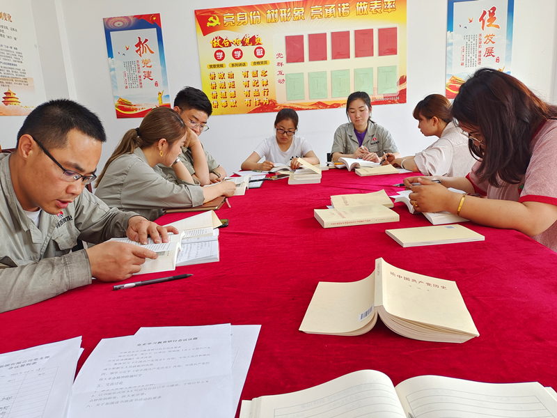 寧夏鑫爾特公司黨支部開展黨史學(xué)習(xí)研討會2.png
