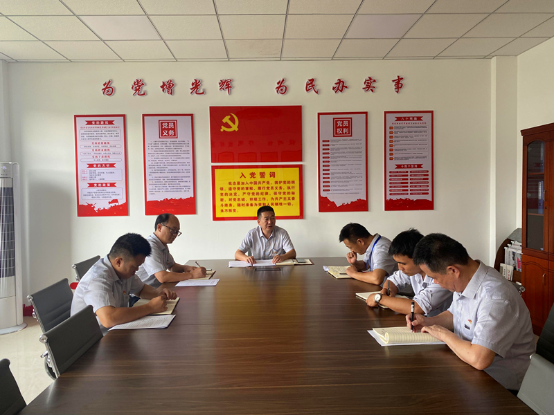各基層單位黨史學(xué)習(xí)教育專題組織生活會(huì)召開