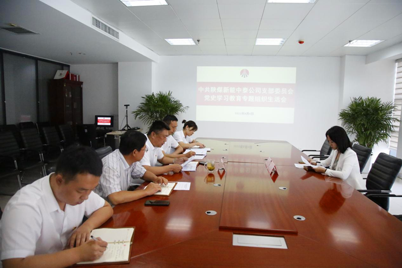 各基層單位黨史學(xué)習(xí)教育專題組織生活會(huì)召開
