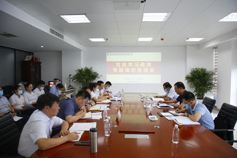 陜煤集團黨史學(xué)習(xí)教育第三巡回指導(dǎo)組到新型能源指導(dǎo)黨史學(xué)習(xí)教育專題組織生活會-配圖1.png
