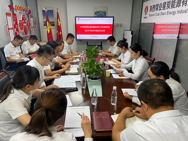 星炭公司黨支部召開(kāi)黨史學(xué)習(xí)教育專題組織生活會(huì)-配圖.png