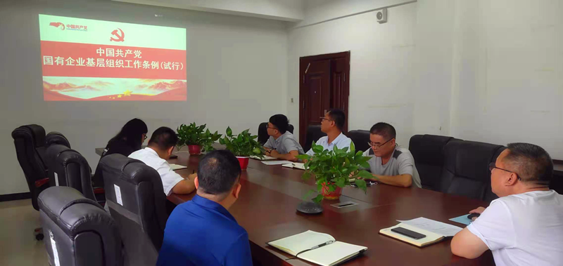 仙桃公司黨支部對《中國共產(chǎn)黨國有企業(yè)基層組織工作條例(試行)》進(jìn)行再學(xué)習(xí)再落實(shí).png