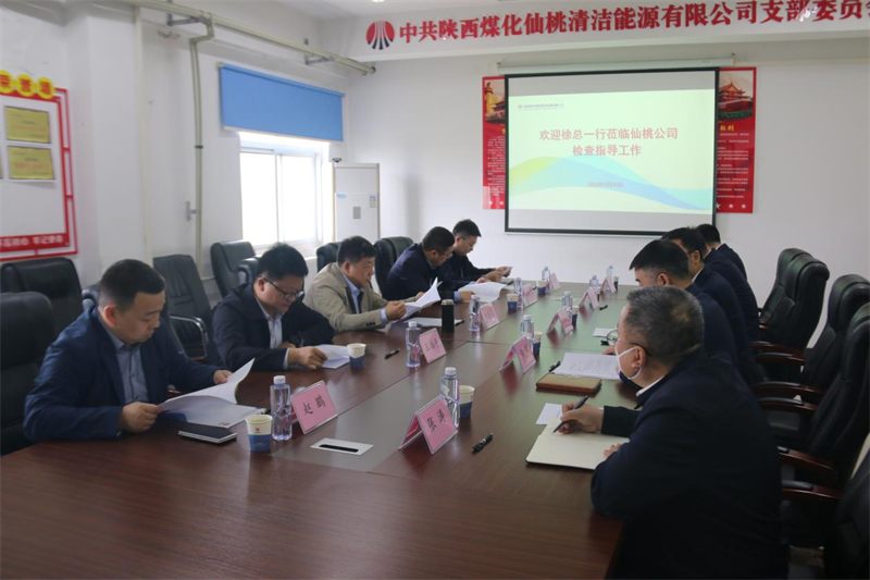 徐國(guó)強(qiáng)一行到仙桃公司調(diào)研.png