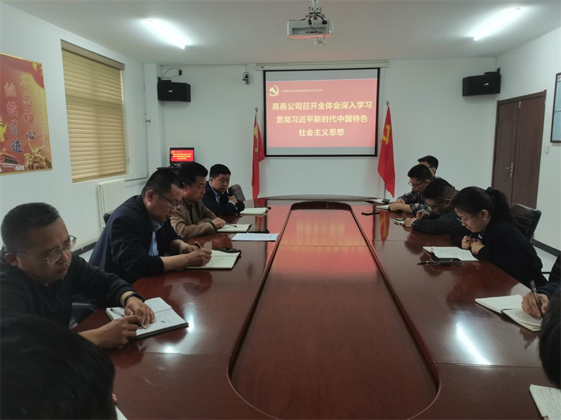 （一）公司所屬各單位迅速傳達(dá)學(xué)習(xí)新型能源公司主題教育動(dòng)員會(huì)精神