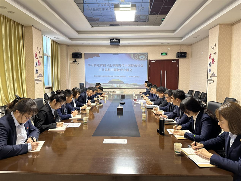 （二）公司所屬各單位迅速傳達(dá)學(xué)習(xí)新型能源公司主題教育動員會精神