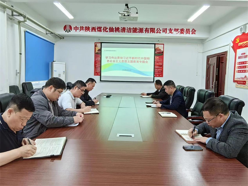 （二）公司所屬各單位迅速傳達(dá)學(xué)習(xí)新型能源公司主題教育動員會精神