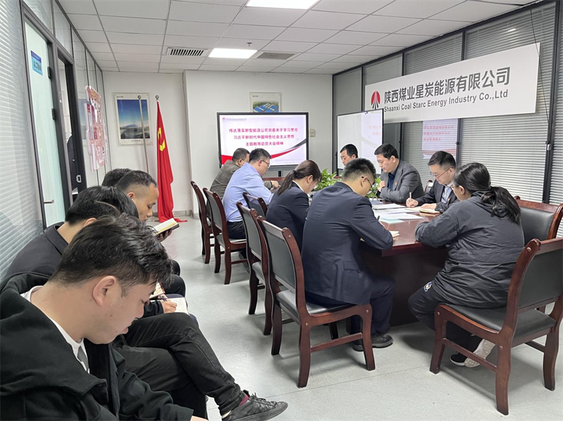（三）公司所屬各單位迅速傳達(dá)學(xué)習(xí)新型能源公司主題教育動員會精神