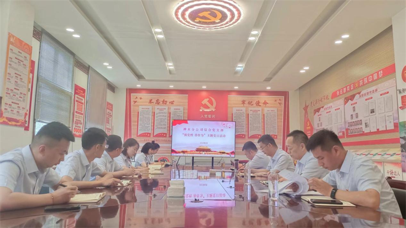 神木分公司綜合黨支部開展“強(qiáng)黨性，善作為”主題黨日活動.png