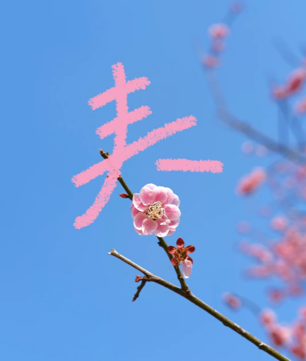 圖片9.png