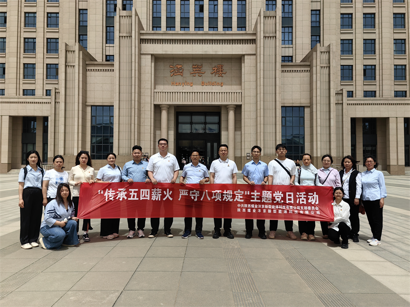 灃京公司黨支部開展“傳承五四薪火 強(qiáng)化作風(fēng)建設(shè)”主題黨日活動01.png